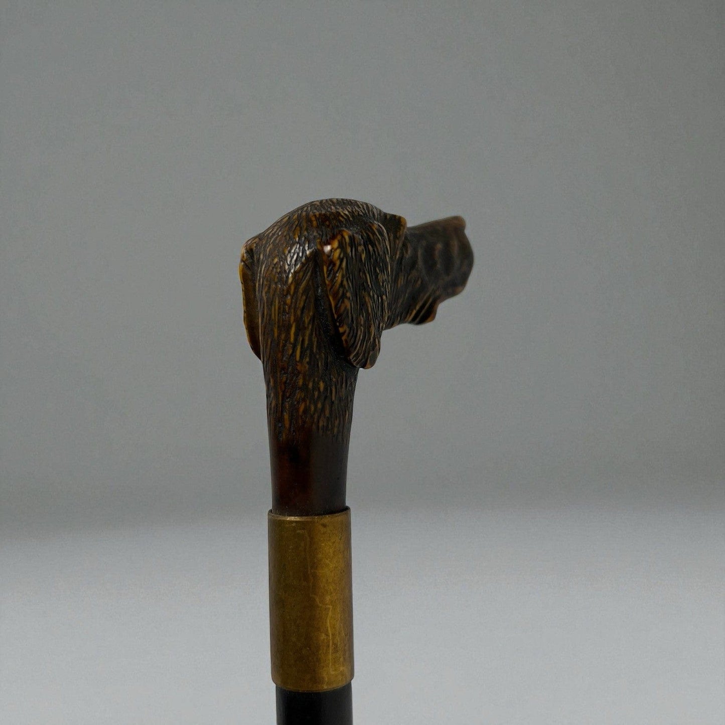 Bastone da per passeggio vintage In legno stile antico con manico testa Cane Categoria Collezionismo:Collezioni diverse:Bastoni da passeggio