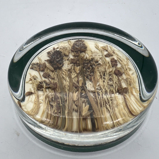 Fermacarte Vintage inglese in vetro da scrivania con inclusione di Fiori Secchi Categoria Accessori scrivania e ufficio