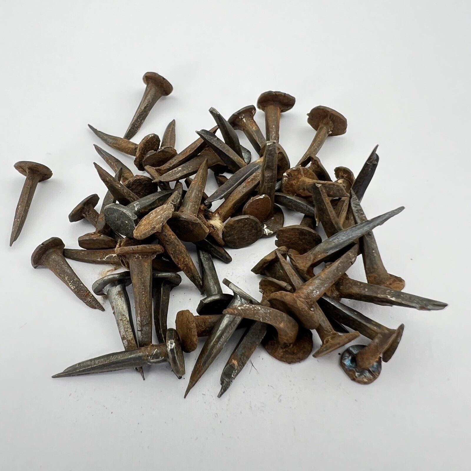 50 chiodi per appendere quadri, chiodi compositi per appendere cornici fotografiche, testa in ottone, chiodi per muratura, ganci con scatola di plastica 50 chiodi per appendere quadri, chiodi compositi per appendere cornici fotografiche, testa in ottone, chiodi per muratura, ganci con scatola di plastica