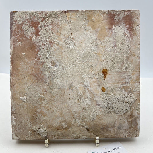 Mattonella Antica Decorativa Piastrella Riggiola vecchia Maiolica D'epoca 395 Categoria Arte e antiquariato:Porcellana e ceramica:Piastrelle e mattonelle