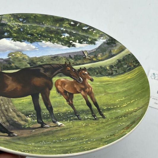 Piatto decorativo da collezione Vintage Cavalli da corsa Equestre Puro Sangue Categoria Piatti e Piattini