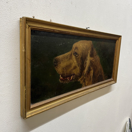 Quadro antico dipinto a olio su tavola quadretto cornice oro Cane razza Setter Categoria Quadri