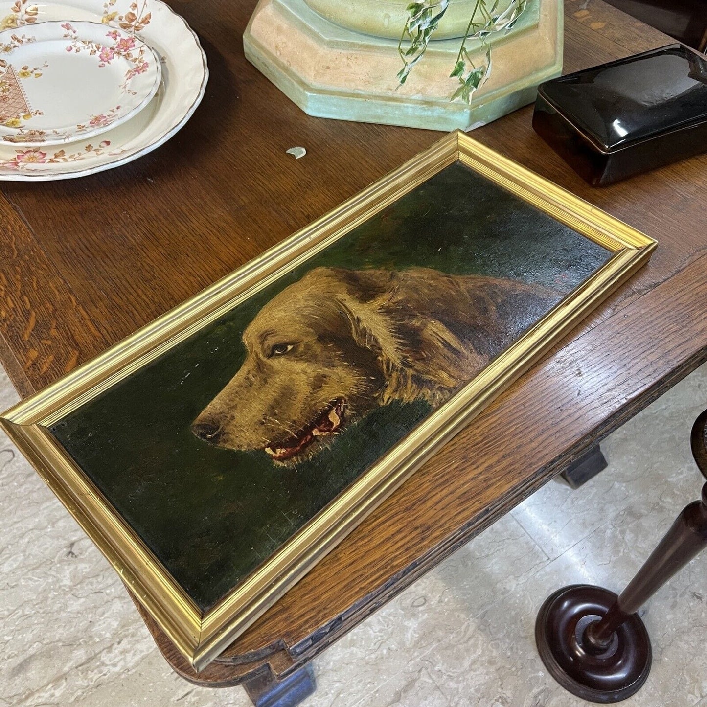Quadro antico dipinto a olio su tavola quadretto cornice oro Cane razza Setter Categoria Quadri