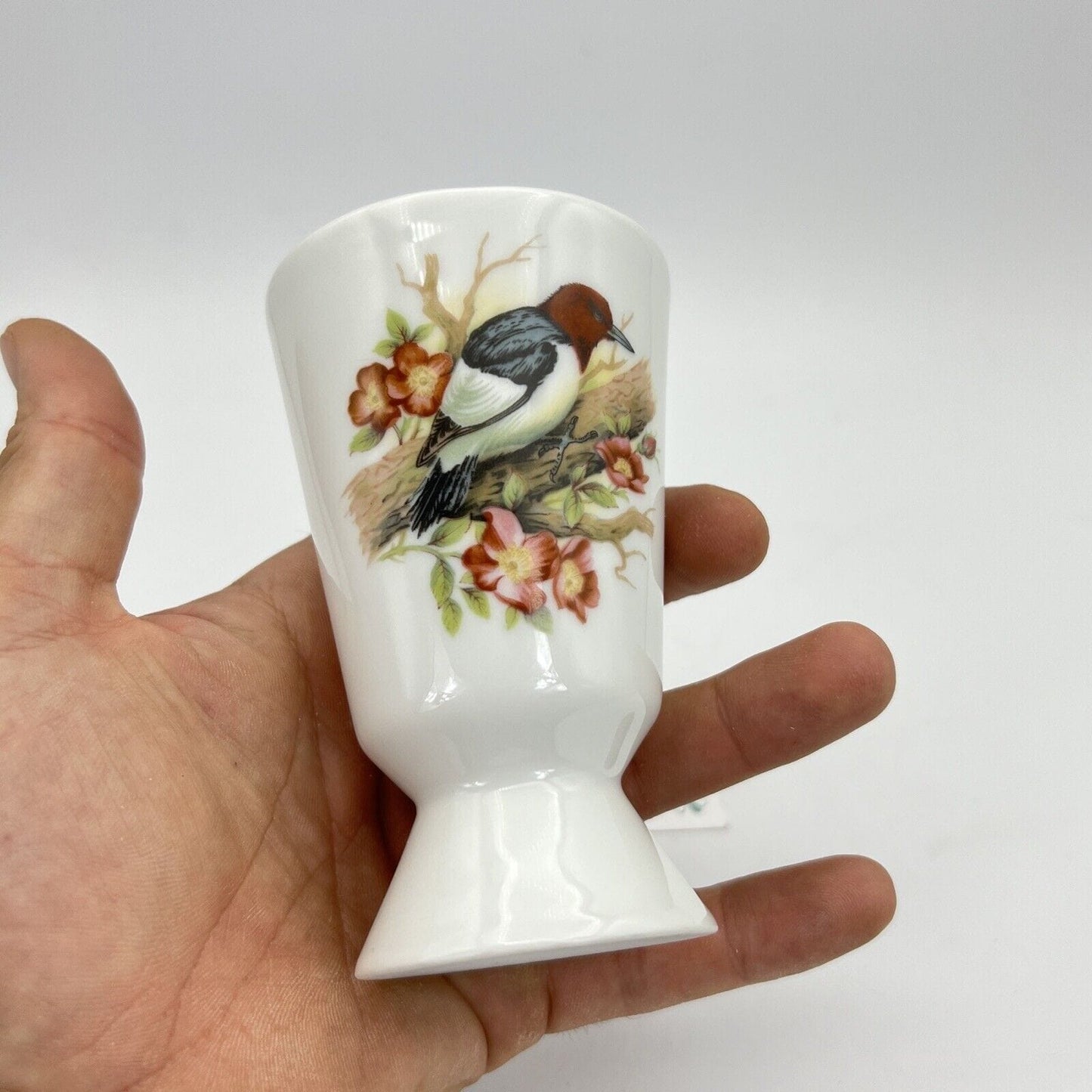 Tazza da caffè Francese in ceramica Limoges Uccello Picchio testa Rossa Mazagran Categoria Servizio tazze - Tazze