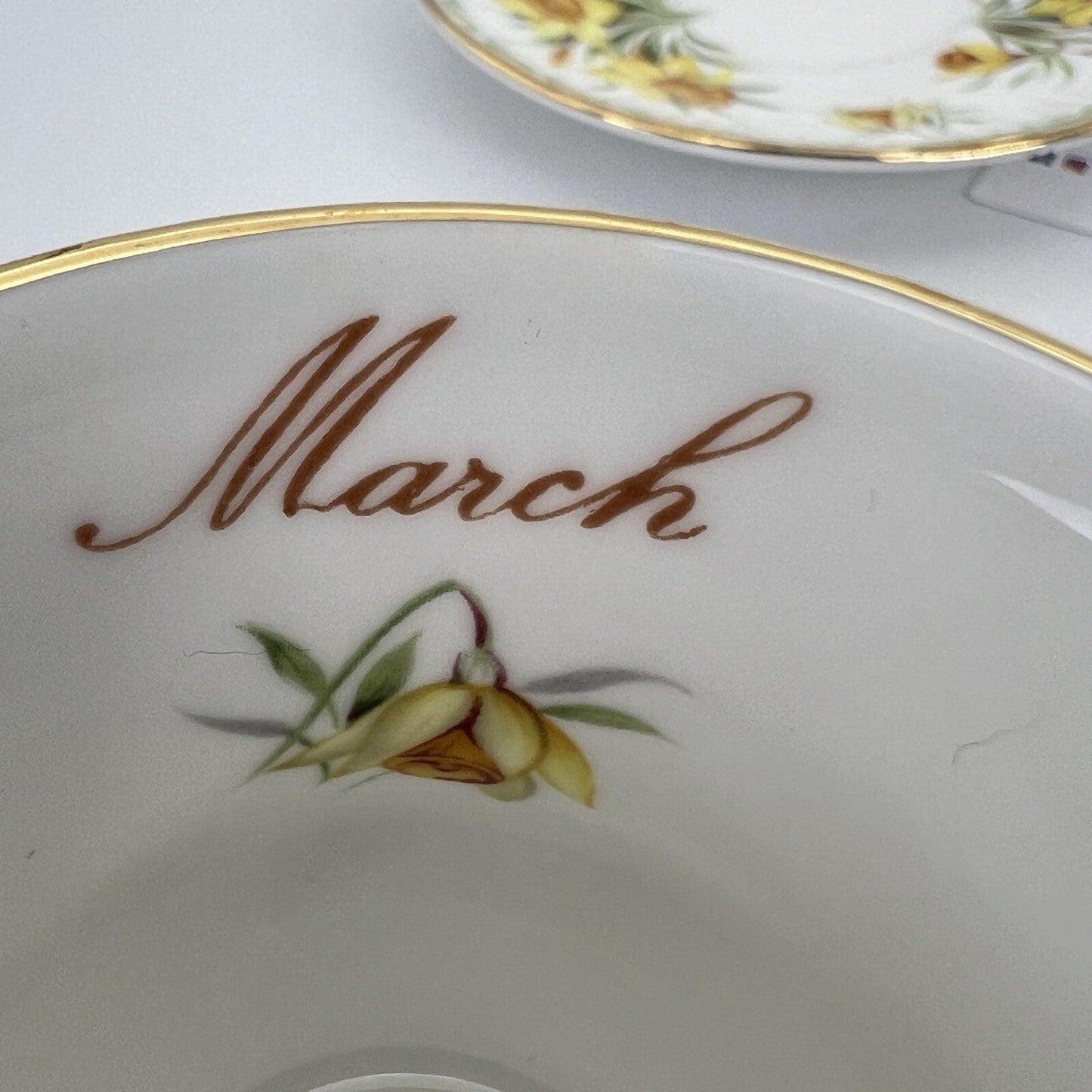 Tazza da caffè in porcellana Queen's con mese tazzina inglese MARZO 900 Categoria Servizio tazze - Tazze