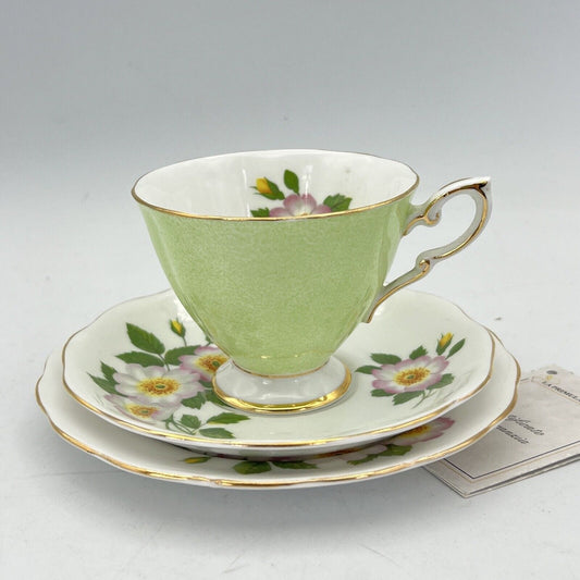 Tazza da tè The in porcellana Royal Standard Tazzina inglese Fiore Rose Verde Categoria  Servizio tazze - Tazze