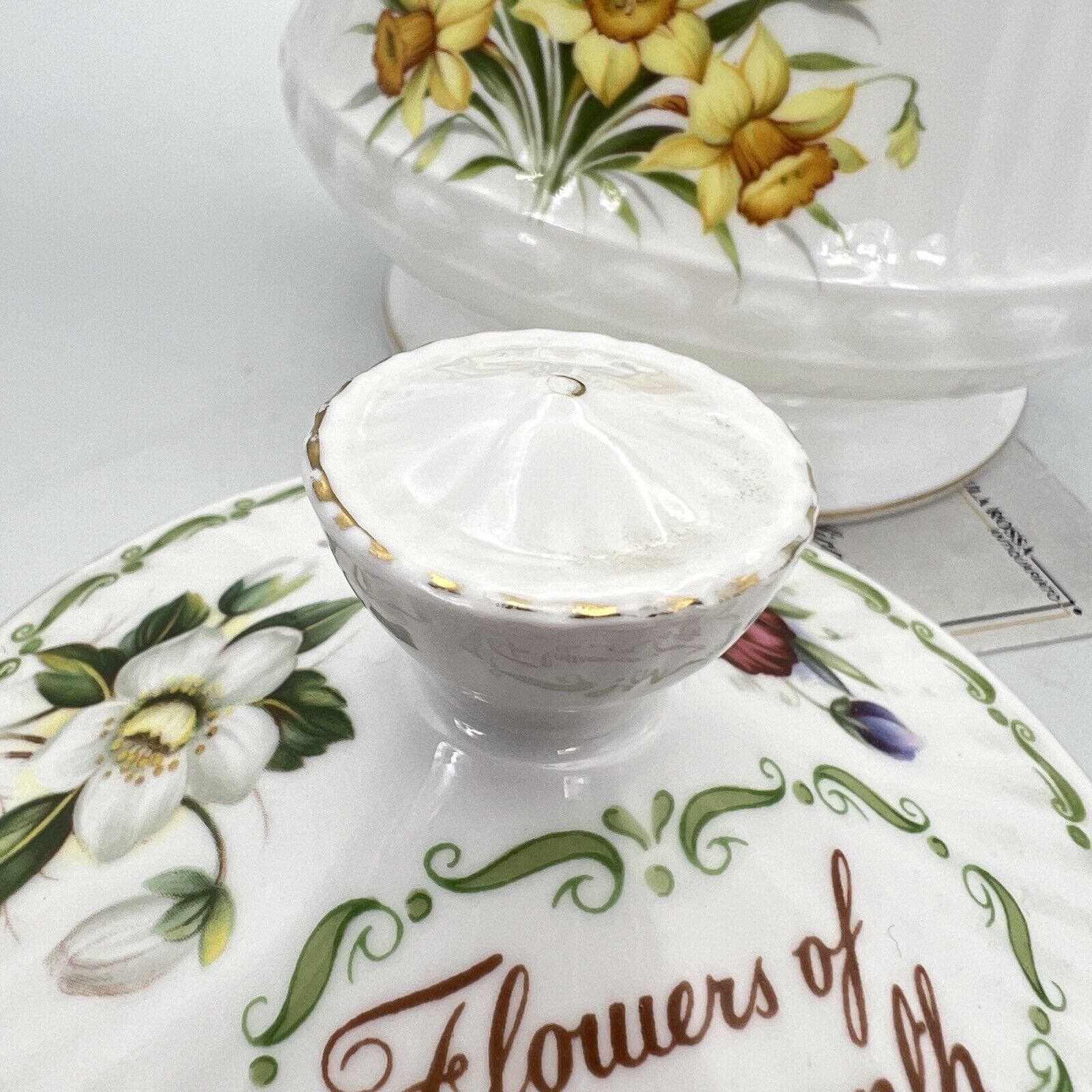 Teiera in porcellana con mesi e fiori Flower of the month Caffettiera Queen's Categoria  Servizio tazze - Tazze