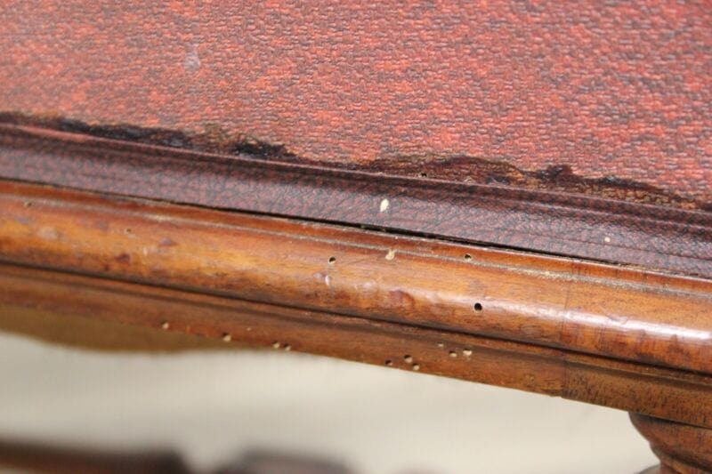 Antica sedia imbottita poltrona poltroncina in legno epoca 800 Inglese da studio Arredamento