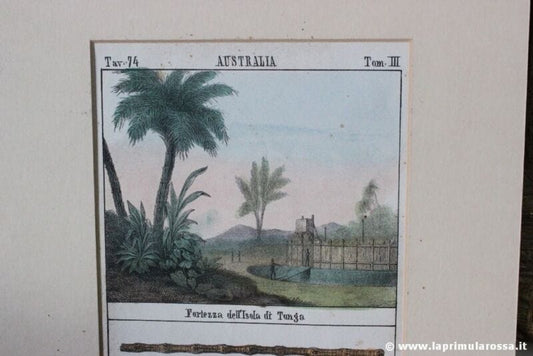 AUSTRALIA LITOGRAFIA ANTICA FORTEZZA ISOLA DI TONGA - STRUMENTI MUSICALI Stampe e Incisioni
