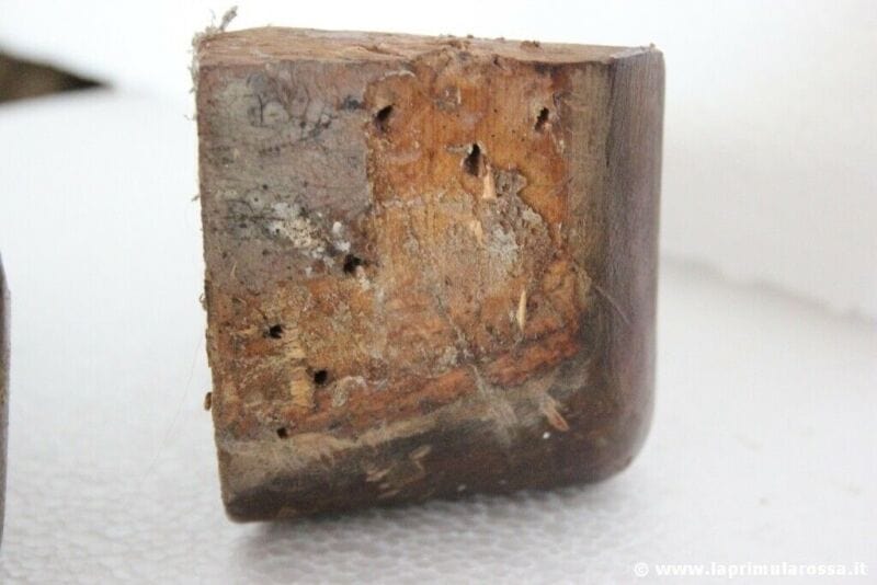 COPPIA DI PIEDI ANTICHI IN LEGNO X MOBILE - GAMBA VINTAGE WOODEN FORNITURE FEET Restauro