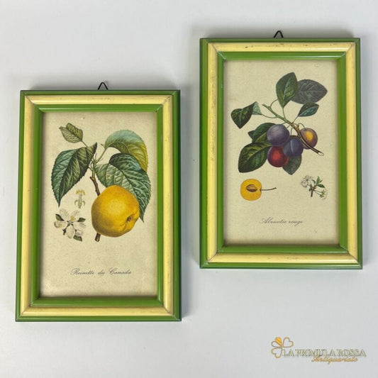 Coppia quadretti shabby chic vintage verdi stampe frutta con fiori Mela e Prugne Quadri