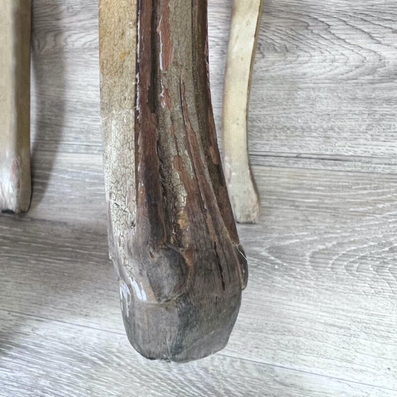Coppia Sedie antiche in legno stile veneziano ingresso sediolina rossa vintage Arredamento