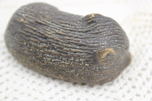 Fermacarte Statuetta scultura miniatura statuina antica in ottone talpa vintage Ottone