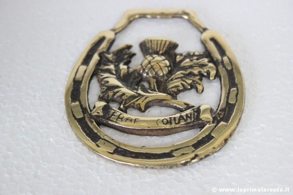 FINIMENTO ANTICO IN OTTONE X CAVALLO CON CARDO OLD THISTLE SCOTLAND HORSE BRASS Ottone