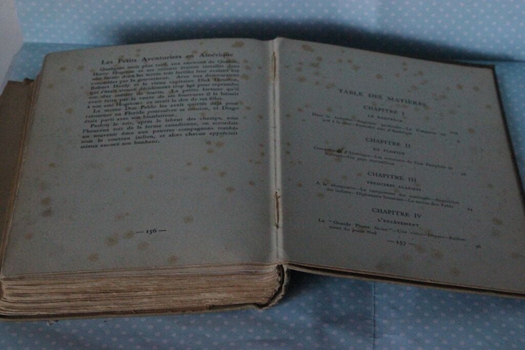 LE PETITS AVENTURIERS EN AMERIQUE VECCHIO LIBRO CHARLES DE LAPRE' ANNO 1911 Libri