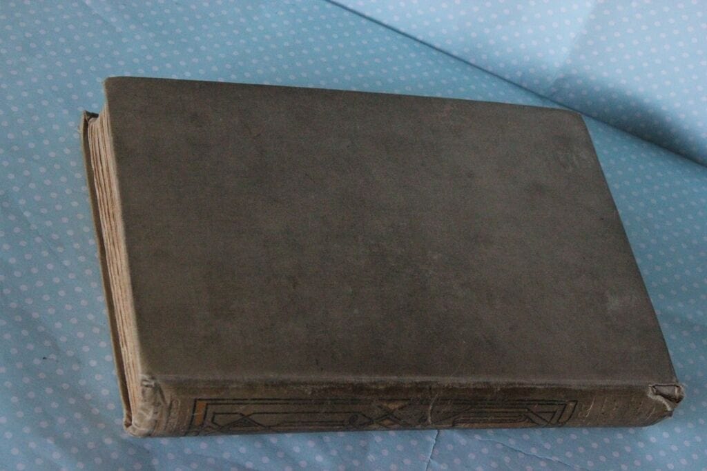 LE PETITS AVENTURIERS EN AMERIQUE VECCHIO LIBRO CHARLES DE LAPRE' ANNO 1911 Libri