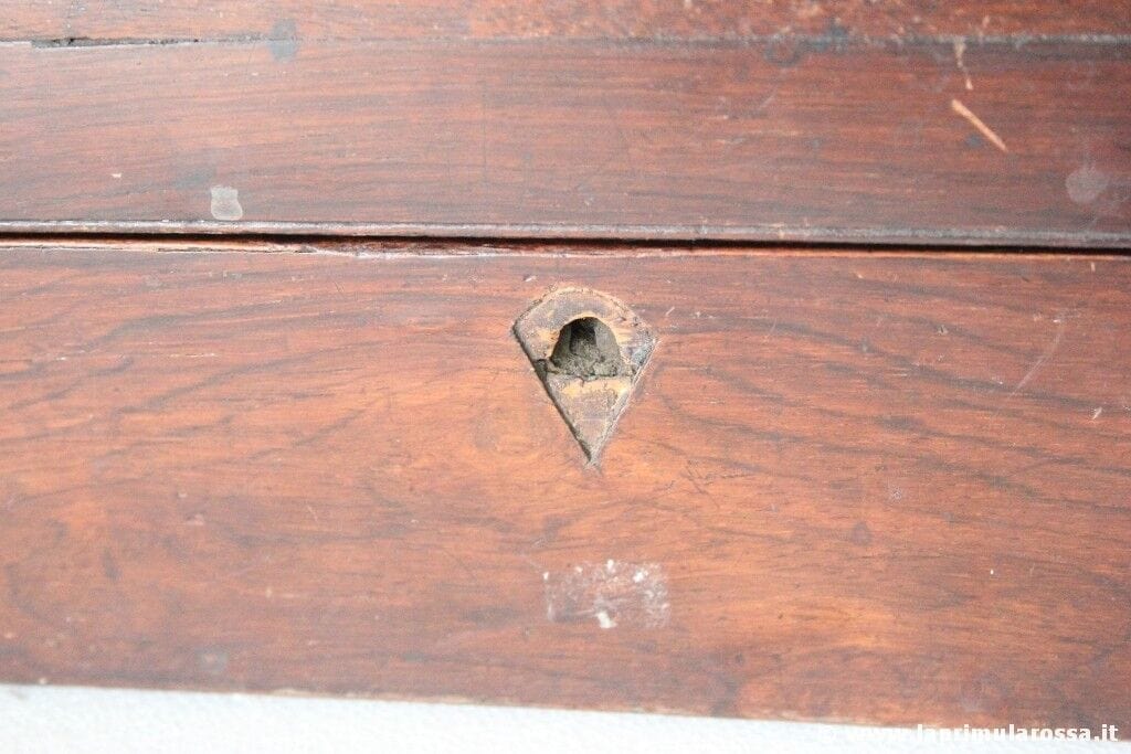 SCATOLA INGLESE EPOCA 800 IN LEGNO DI PALISSANDRO ANTIQUE VICTORIAN WOODEN BOX Scatole in legno