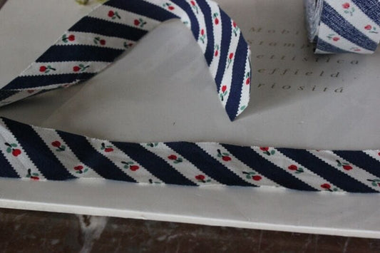 STOCK DI 10 METRI DI NASTRO SBIECO VINTAGE IN COTONE PER BORDURA  HOBBY CUCITO Corredo Pizzi e Tessuti