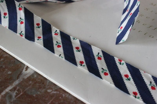 STOCK DI 10 METRI DI NASTRO SBIECO VINTAGE IN COTONE PER BORDURA  HOBBY CUCITO Corredo Pizzi e Tessuti