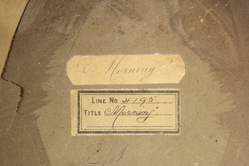 47669506