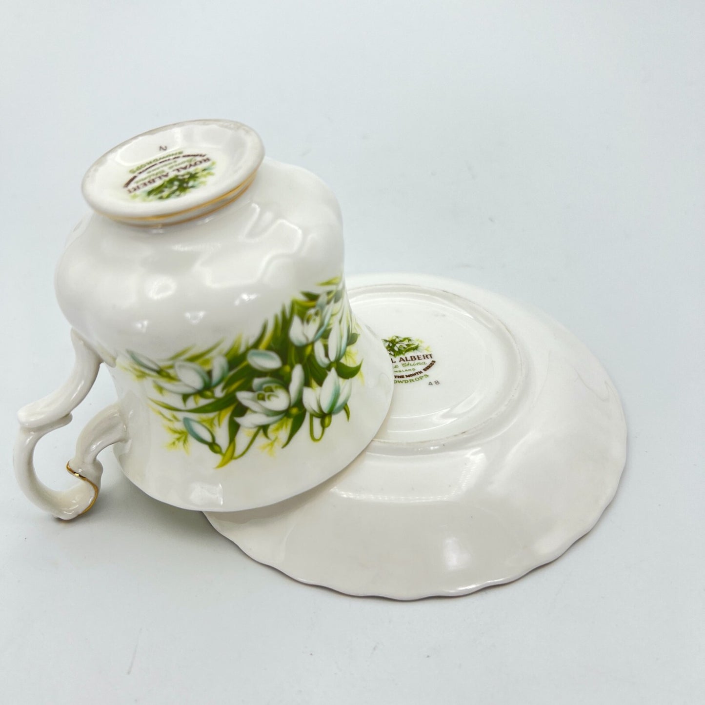 https://i.ebayimg.com/00/s/MTYwMFgxNjAw/z/vuwAAOSwMgplt4Pp/$_57.JPG?set_id=8800005007