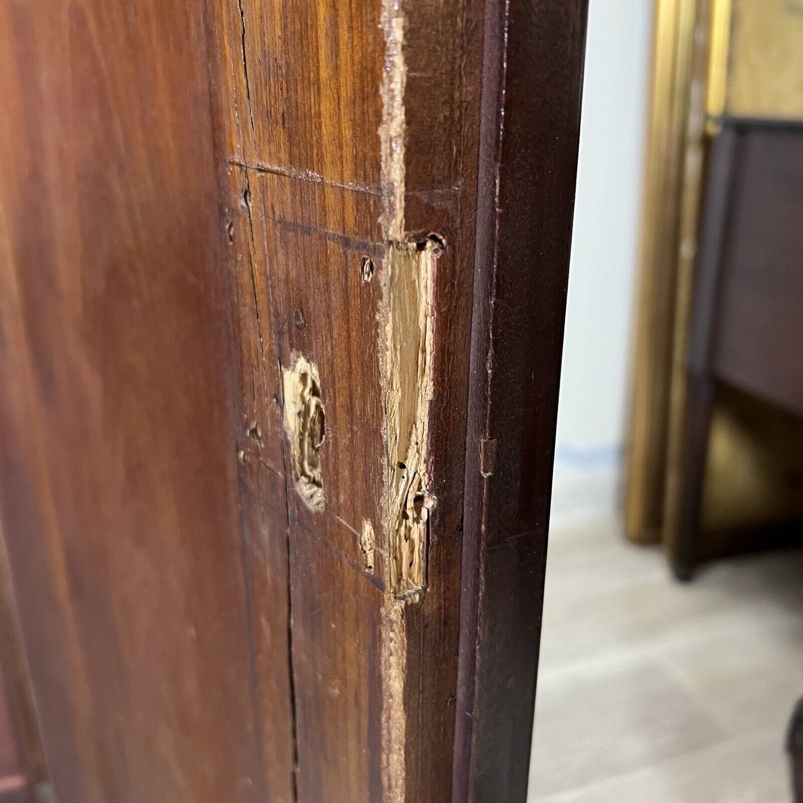 Antico Armadio Credenza Libreria Stipo Inglese epoca 800 in legno di Mogano Categoria  Vetrine