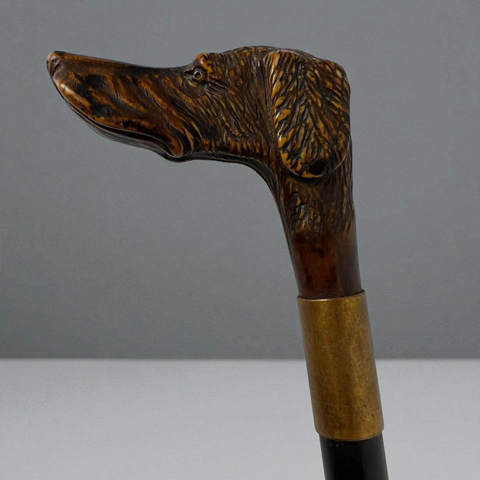 Bastone da per passeggio vintage In legno stile antico con manico testa Cane Categoria  Collezionismo:Collezioni diverse:Bastoni da passeggio