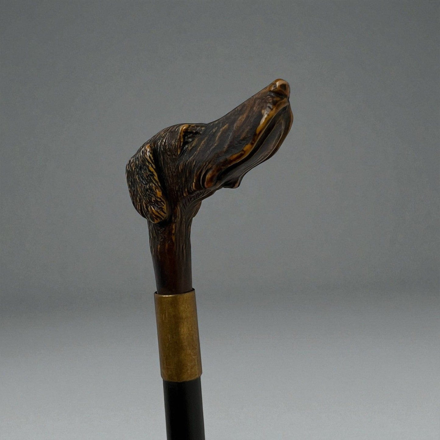 Bastone da per passeggio vintage In legno stile antico con manico testa Cane Categoria  Collezionismo:Collezioni diverse:Bastoni da passeggio