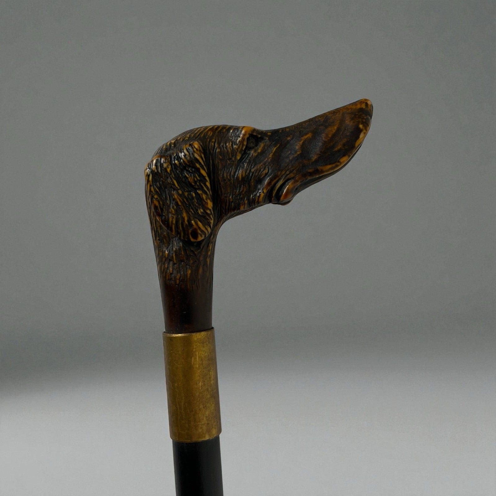 Bastone da per passeggio vintage In legno stile antico con manico testa Cane Categoria  Collezionismo:Collezioni diverse:Bastoni da passeggio