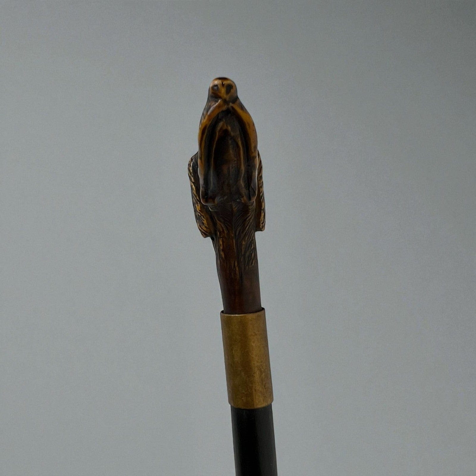 Bastone da per passeggio vintage In legno stile antico con manico testa Cane Categoria  Collezionismo:Collezioni diverse:Bastoni da passeggio