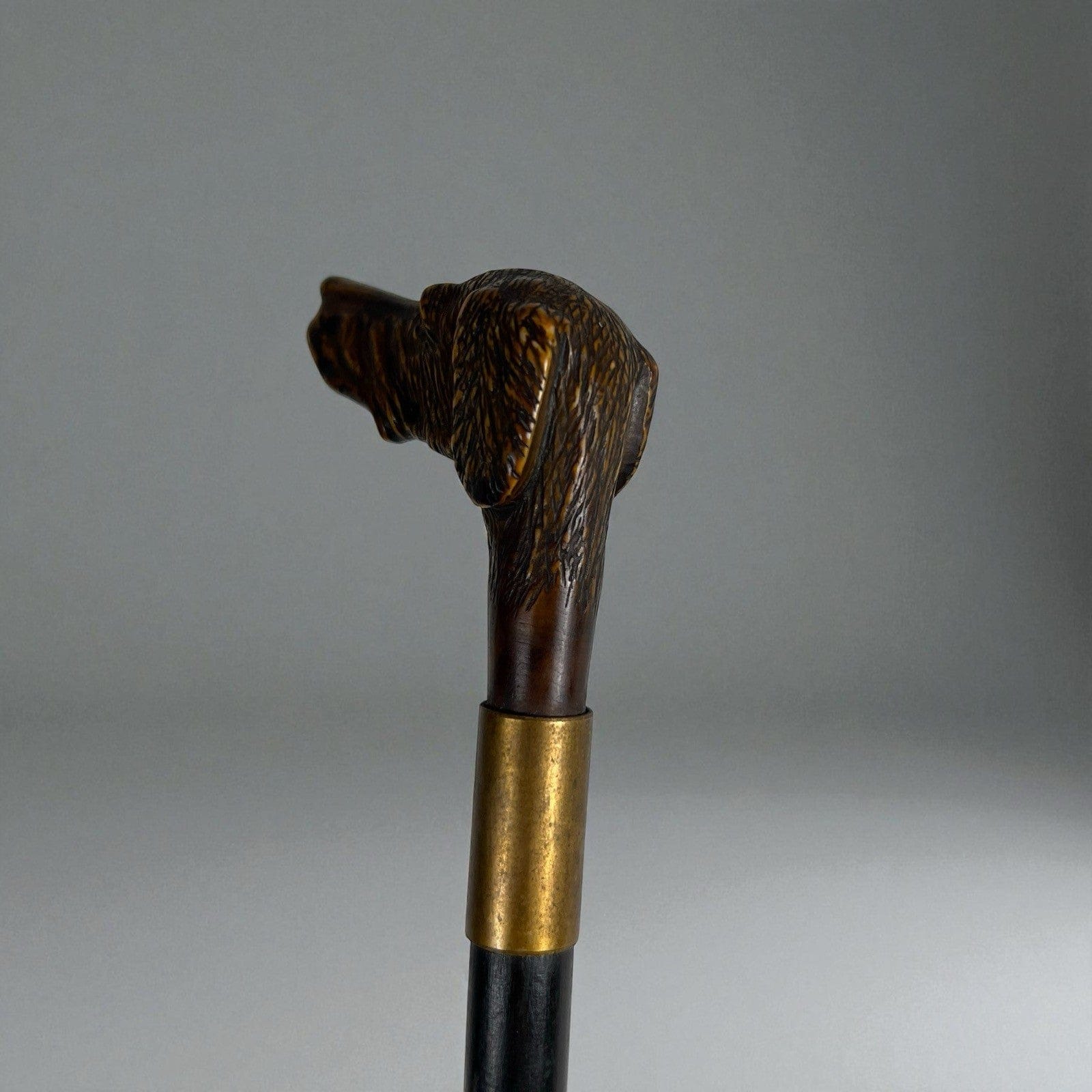 Bastone da per passeggio vintage In legno stile antico con manico testa Cane Categoria  Collezionismo:Collezioni diverse:Bastoni da passeggio