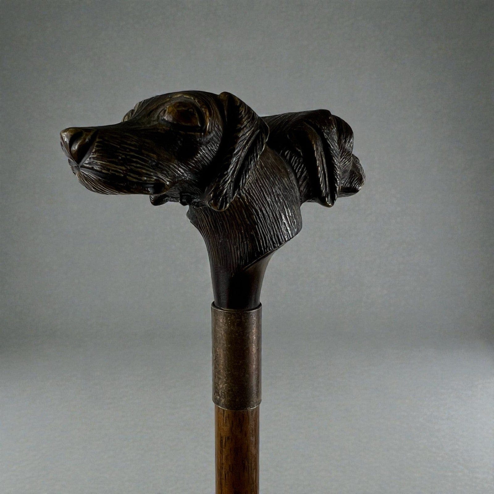 Bastone da per passeggio vintage In legno stile antico con manico testa Cane Categoria  Collezionismo:Collezioni diverse:Bastoni da passeggio