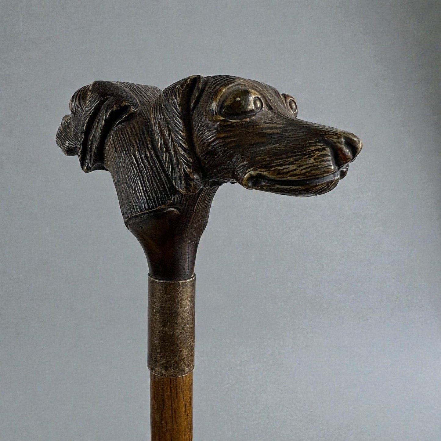 Bastone da per passeggio vintage In legno stile antico con manico testa Cane Categoria  Collezionismo:Collezioni diverse:Bastoni da passeggio