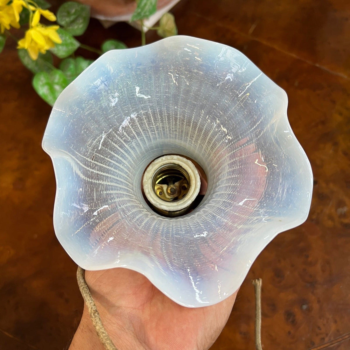 Campana paralume in vetro opalino iridescente ricambio per lampadario Anni 30 Categoria  Lampade Appliques