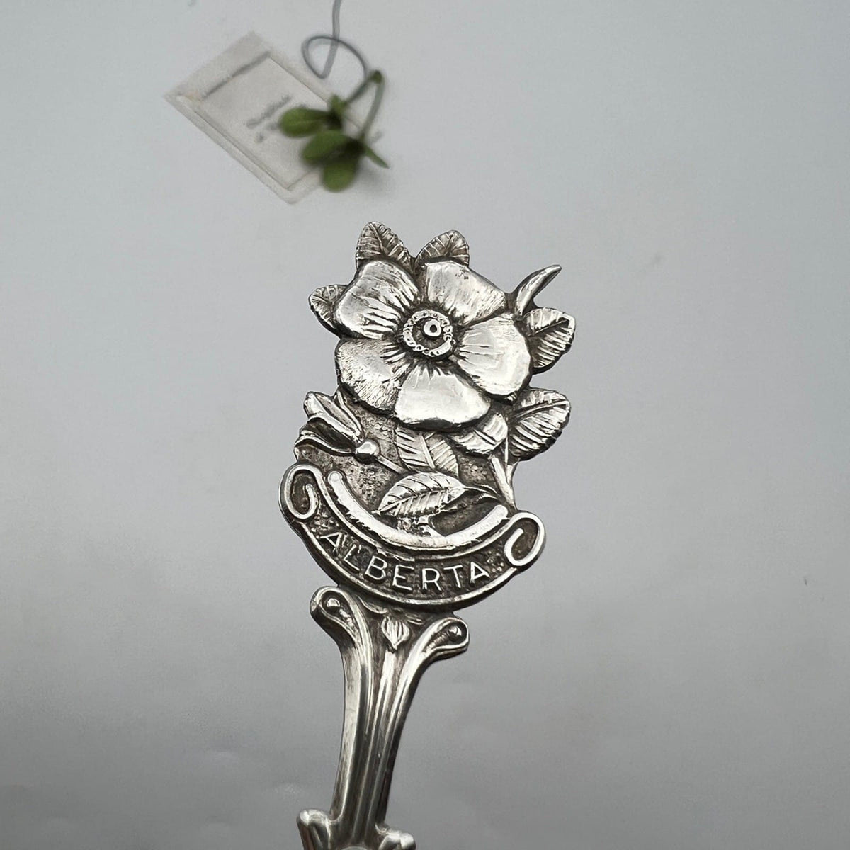Cucchiaino in argento placcato vintage Souvenir del Canada Red Deer Alberta Categoria  Sheffield & Argento