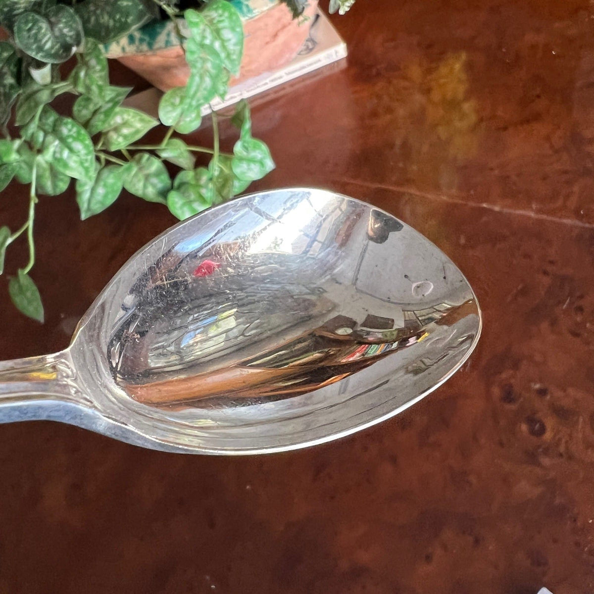 Cucchiaio antico in argento silver plated  inglese d'epoca Per  servire confetti Categoria  Sheffield & Argento