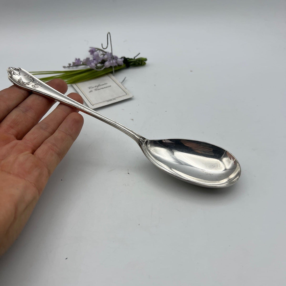 Cucchiaio antico in argento silver plated  inglese d'epoca Per  servire confetti Categoria  Sheffield & Argento