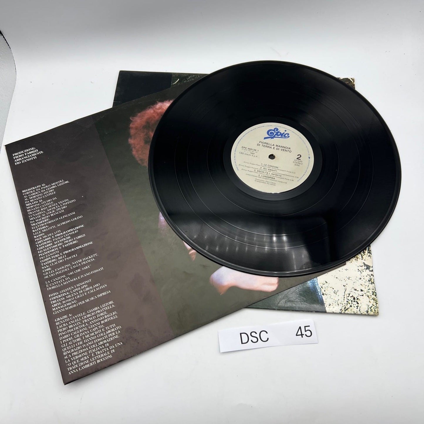 Disco in vinile 33 giri lp Fiorella Mannoia anno 1988 Di Terra e di Vento Categoria  Dischi in Vinile