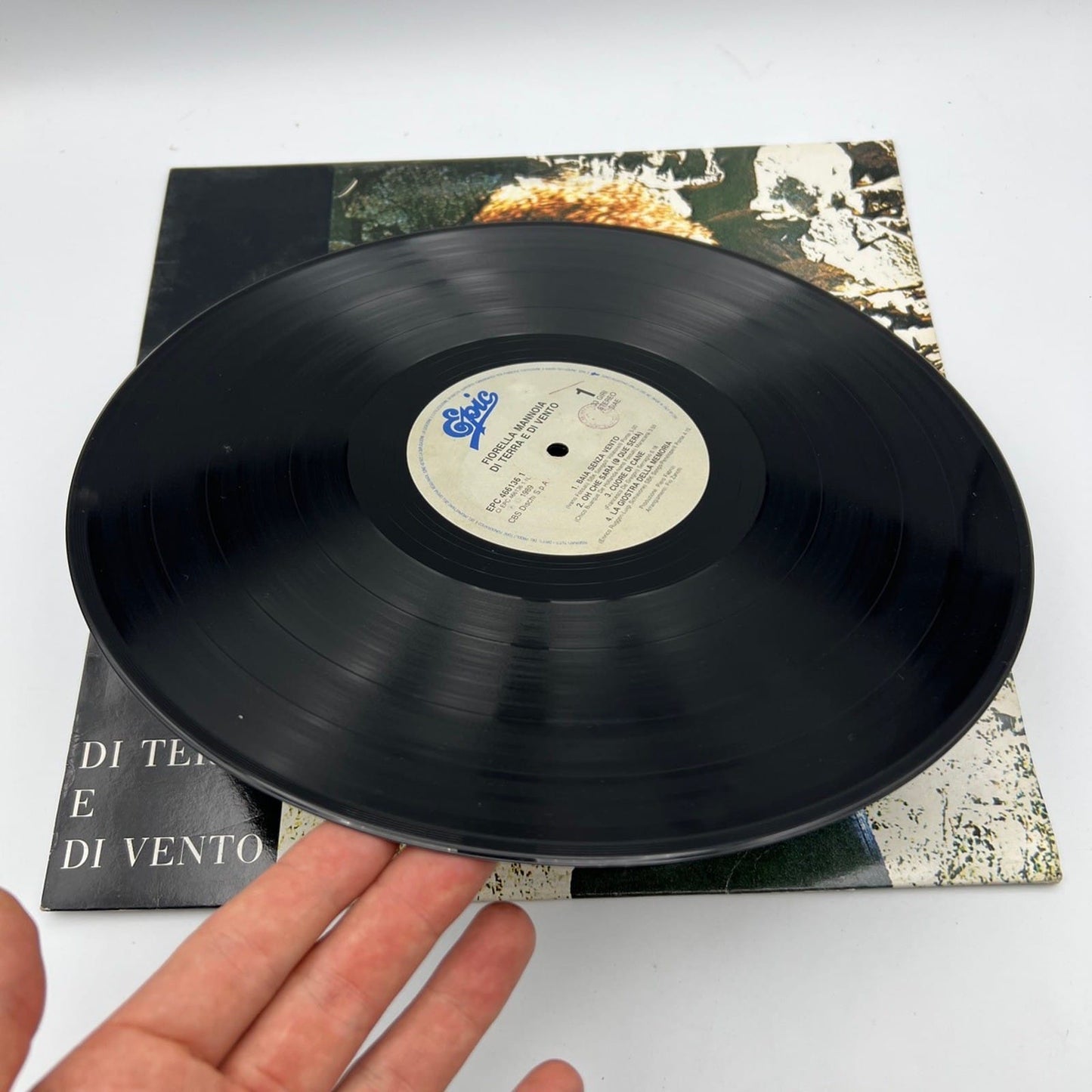 Disco in vinile 33 giri lp Fiorella Mannoia anno 1988 Di Terra e di Vento Categoria  Dischi in Vinile