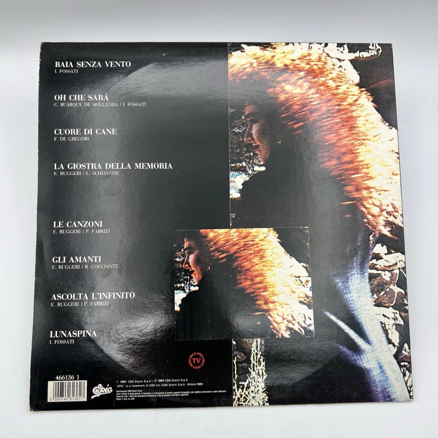 Disco in vinile 33 giri lp Fiorella Mannoia anno 1988 Di Terra e di Vento Categoria  Dischi in Vinile