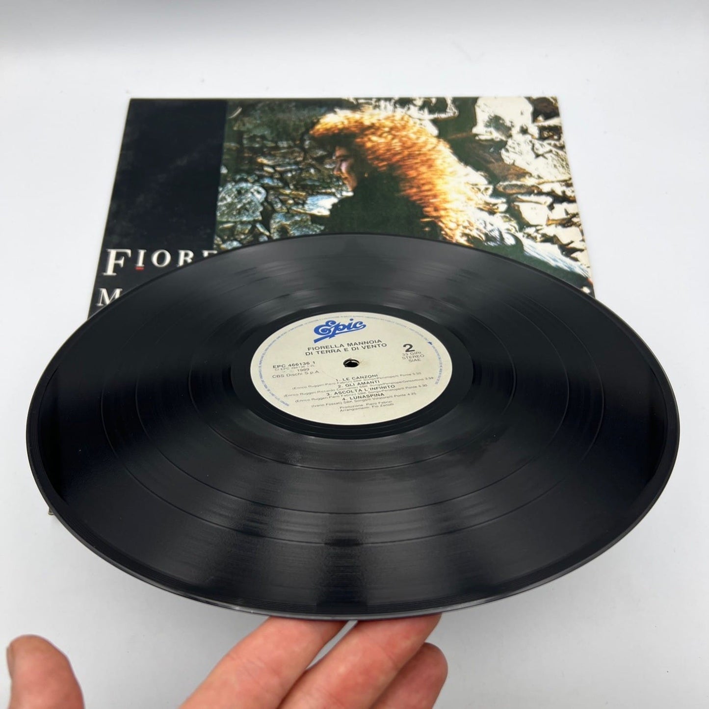 Disco in vinile 33 giri lp Fiorella Mannoia anno 1988 Di Terra e di Vento Categoria  Dischi in Vinile