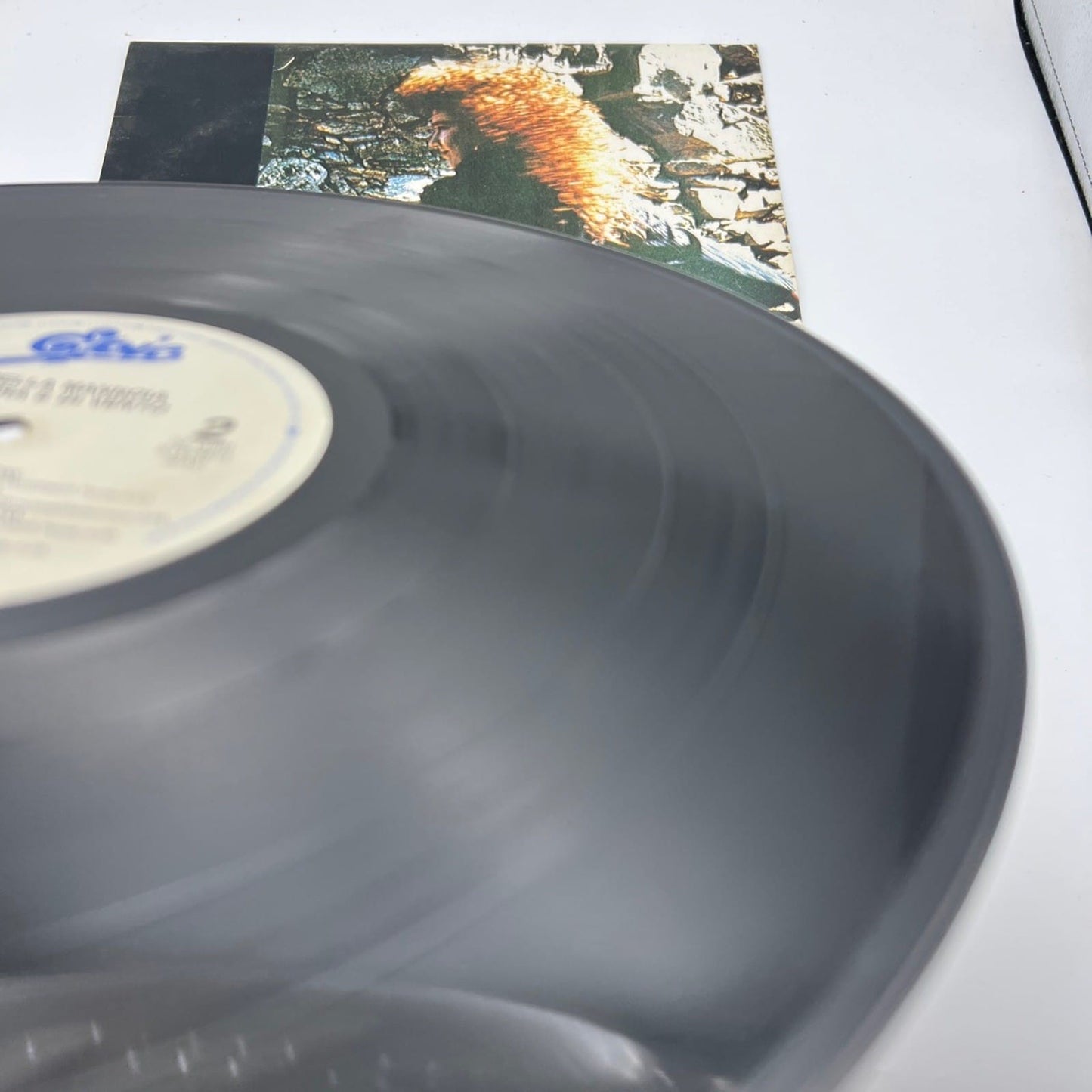Disco in vinile 33 giri lp Fiorella Mannoia anno 1988 Di Terra e di Vento Categoria  Dischi in Vinile