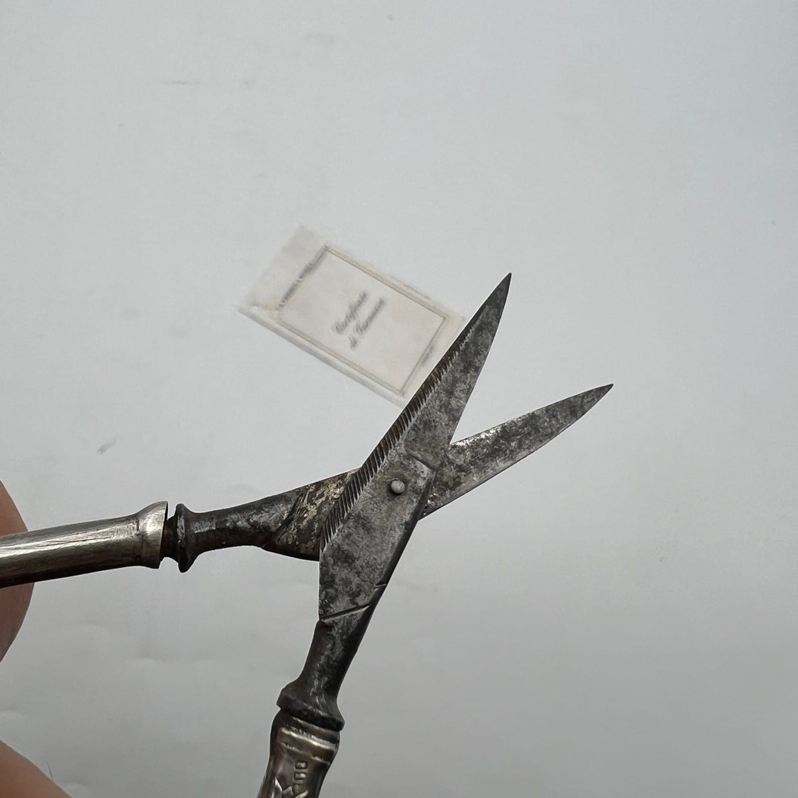 Forbici antiche con manico in Argento 800 da Manicure o Sarta primi 900 Categoria  Attrezzi e Strumenti