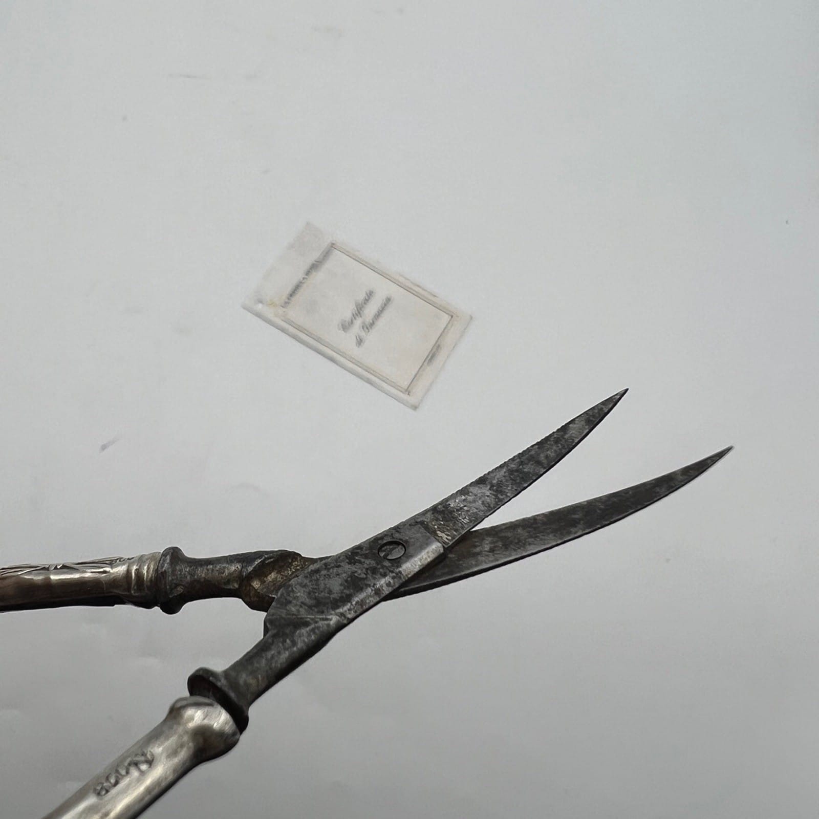 Forbici antiche con manico in Argento 800 da Manicure o Sarta primi 900 Categoria  Attrezzi e Strumenti
