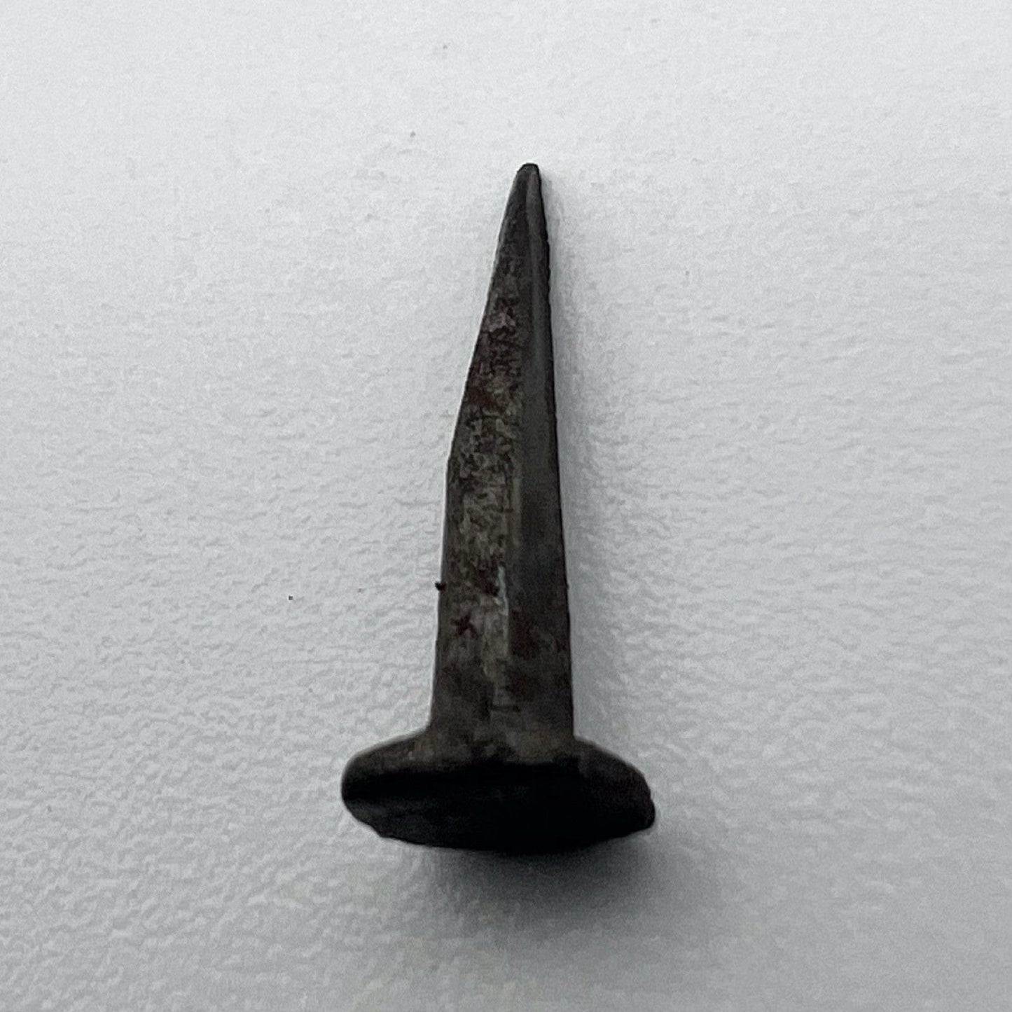 Lotto 50 chiodi antichi in ferro battuto forgiati vecchi chiodini per restauro x Categoria  Accessori & Ferramenta d'epoca