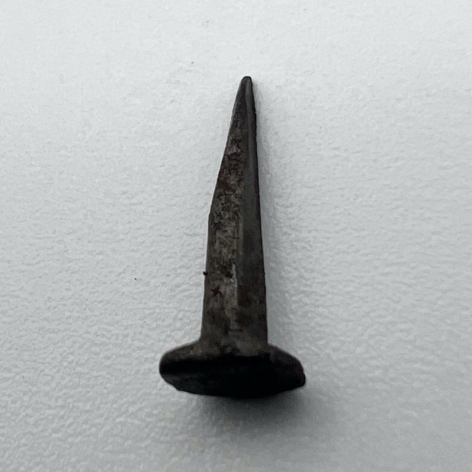 Lotto 50 chiodi antichi in ferro battuto forgiati vecchi chiodini per restauro x Categoria  Accessori & Ferramenta d'epoca