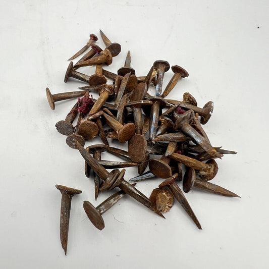Lotto 50 chiodi antichi in ferro battuto vecchi chiodini Forgiati per restauro E Categoria  Accessori & Ferramenta d'epoca