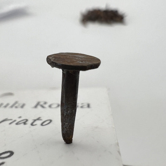 Lotto 50 chiodi antichi in ferro battuto vecchi chiodini Forgiati per restauro E Categoria  Accessori & Ferramenta d'epoca