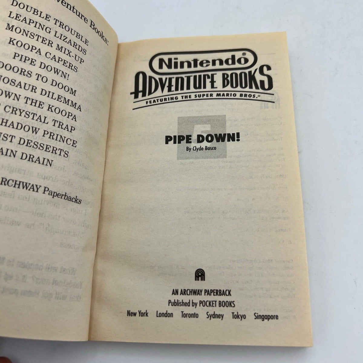 Manuale Libretto Libro Nintendo 1991 Adventure Books Pipe Down vintage Categoria  Libri