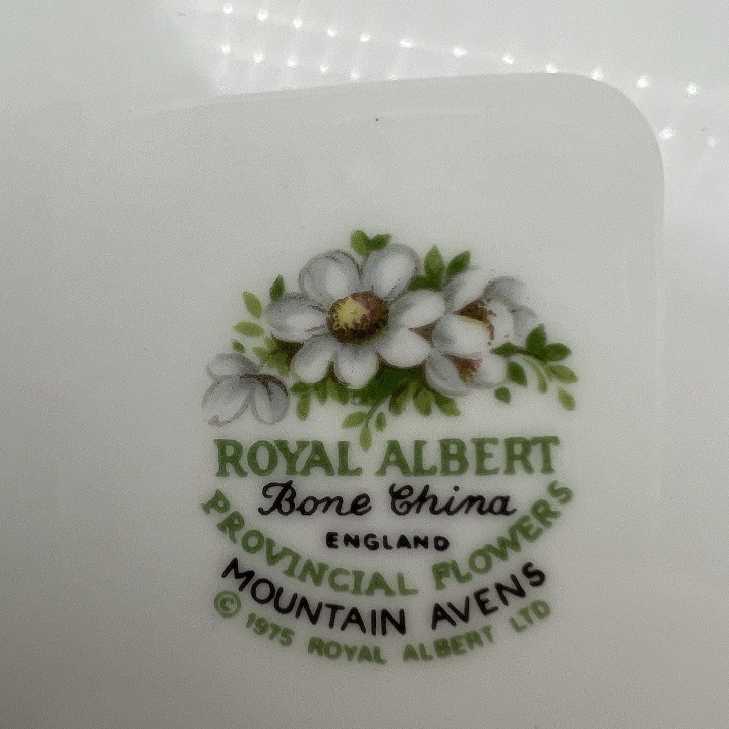 Piatto + Piattino in porcellana Royal Albert Provincial Flowers Fiori Avens Categoria  Piatti e Piattini